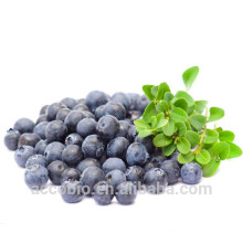 High Quality 100% Natural Certificated Organic Blueberry Extract Powder